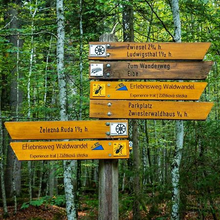 Grosser Arber, Wandern & Sauna, Gemuetliches Apartment Im Nationalpark Bayerischen Wald Lindberg Dış mekan fotoğraf